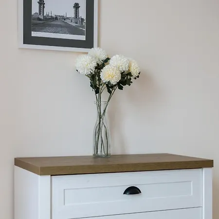 Apartment Kosinskiego By Renters