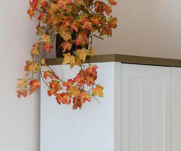 Apartamento Kosinskiego By Renters *